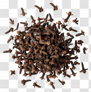 Scattered Cloves - Aromatic Dried Cloves Transparent PNG