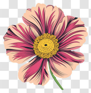 Pink Flower - Pink Flower Botanical Illustration Transparent PNG