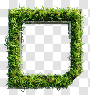 Green Grass - Nature-Inspired Green Grass Frame Transparent PNG