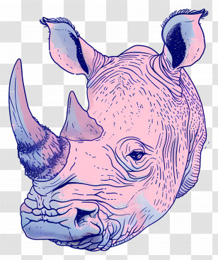 Rhino Head - Detailed Rhinoceros Head Illustration Transparent PNG