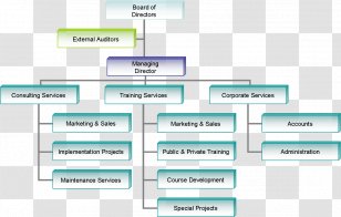 Organizational Chart Diagram Structure - Aramco Transparent PNG