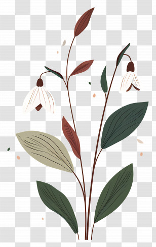 Snowdrop Flowers - Minimalist Floral Design Transparent PNG