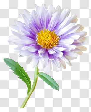 Elegant Aster Flower - Realistic Purple Daisy Flower With Green Leaves Transparent PNG