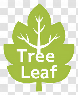 Tree Leaf - Tree Leaf Symbol Transparent PNG