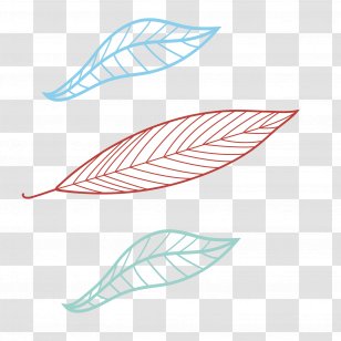 Colorful Decorative Leaves - Computer Graphics - Leaf Transparent PNG