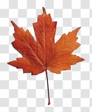 Maple Leaf - Orange-Brown Maple Leaf Design Transparent PNG