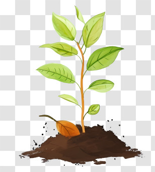 Watercolor Planting Tree - Young Plant Growing In Soil Transparent PNG