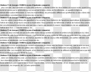 Exemplum Definition - Document - Citing Transparent PNG
