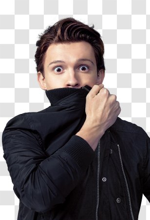 Tom Holland Spider-Man: Homecoming Film Series Miles Morales Male Transparent PNG