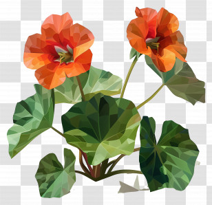 Orange Flowers - Orange Flowers With Green Leaves Transparent PNG
