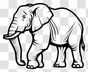 Elephant - Black And White Elephant Illustration Transparent PNG