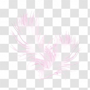 Textile Petal Pattern - Pink Feather Transparent PNG