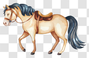 Cartoon - Illustration Of A Horse With Saddle Transparent PNG