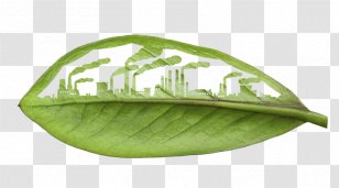 Environmentally Friendly Renewable Energy Natural Environment Business Sustainability - Building Transparent PNG