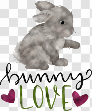 Bunny Love Bunny Easter Day Transparent PNG