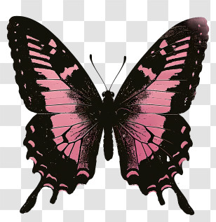 Butterfly Silhouette - Pink And Black Butterfly Illustration Transparent PNG