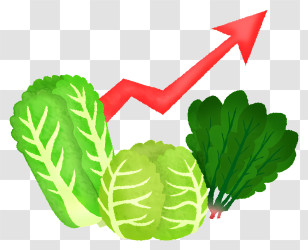 Icon - Green Vegetables With Upward Arrow Transparent PNG