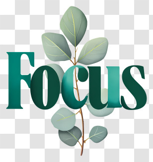Focus - Focus Word With Eucalyptus Leaves Transparent PNG