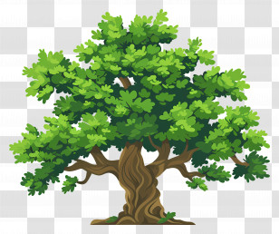 Oak Tree - Illustration Of A Green Oak Tree In Nature Transparent PNG