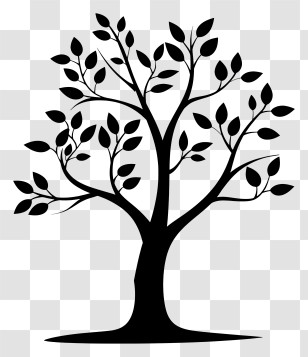 Tree Silhouette - Simple Black Tree Silhouette Illustration Transparent PNG