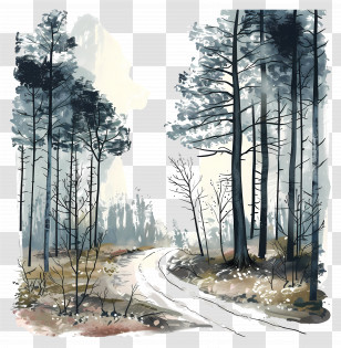 Forest Path - Forest Pathway Scenery Illustration Transparent PNG
