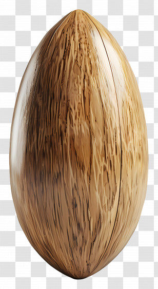Single Almond - Coconut Illustration Transparent PNG
