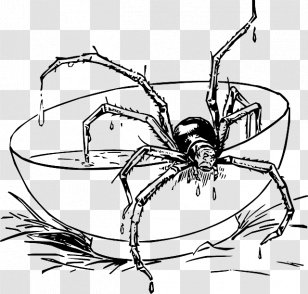 Spider-Man Coloring Book Spider Web Iron - Insect Transparent PNG