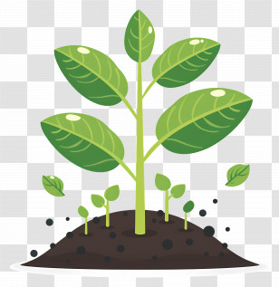 Sprout - Sprouting Plant In Soil Illustration Transparent PNG