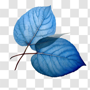 Blue Leaves - Blue Leaves Illustration For Natural Theme Transparent PNG