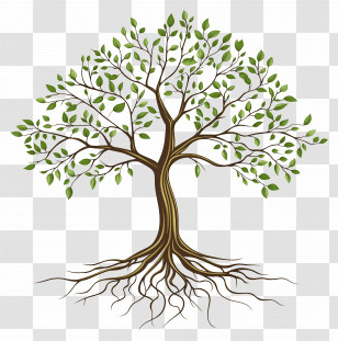 Tree With Roots - Tree With Branching Roots Illustration Transparent PNG