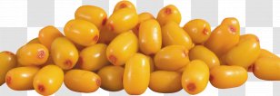 Sea Buckthorns Dietary Supplement Fatty Acid - Unsaturated Fat - Natural Foods Transparent PNG