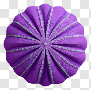 Purple Sea Urchin Shell - Plush Purple Round Cushion Transparent PNG