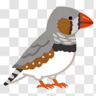 Bird - Cute Grey And White Bird Illustration Transparent PNG