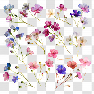 Tiny Flowers - Beautiful Colorful Flowers Transparent PNG