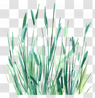 Grass - Green Grass In Natural Setting Transparent PNG