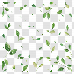 Green Background - Green Leaves Pattern For Botanical Design Transparent PNG