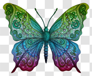 Cartoon - Colorful Butterfly With Decorative Patterns Transparent PNG