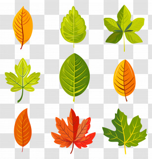 Simple Leaf Clipart - Colorful Leaves For Seasonal Designs Transparent PNG