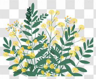 Small Flower - Yellow Wildflowers Illustration Transparent PNG