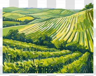 Pasture Field - Beautiful Green Fields And Hills Landscape Transparent PNG