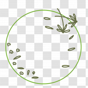 Flower Line - Seeds And Plants In Circular Frame Transparent PNG