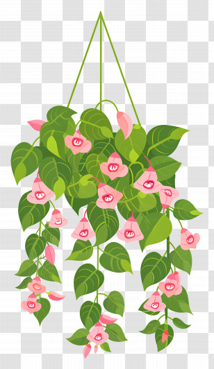 Hanging Flowers - Hanging Plant With Pink Flowers Transparent PNG