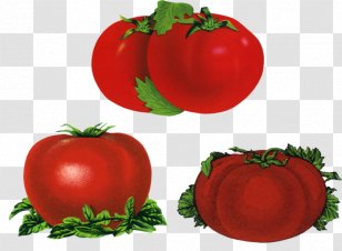 Poster Zazzle The 100-Mile Diet Printing Organic Farming - Tomato - Michael Pollan Transparent PNG