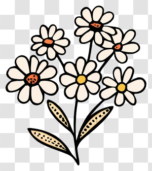 Black And White Painting - Cute Daisy Flowers Drawing Transparent PNG