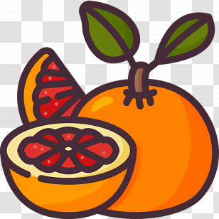 Grapefruit - Stylized Orange Fruit Illustration With Slice Transparent PNG