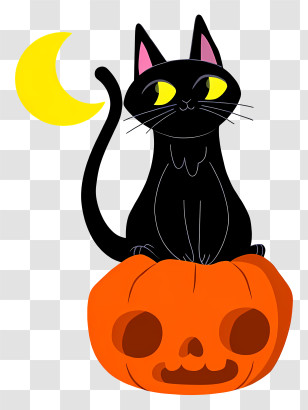 Halloween Cat In Pumpkin - Black Cat On Halloween Pumpkin Transparent PNG