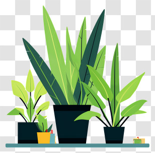 Shelf With Potted Plants - Decorative Indoor Plants In Pots Transparent PNG