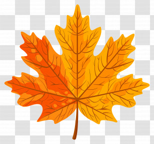 Autumn Maple Leaf - Yellow And Orange Autumn Leaf Illustration Transparent PNG