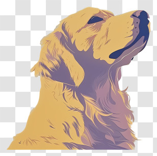 Golden Retriever - Golden Retriever Artistic Illustration Transparent PNG