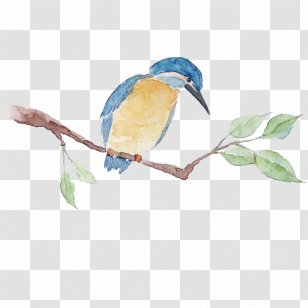 Download Computer File - Beak - Tree Bird Transparent PNG